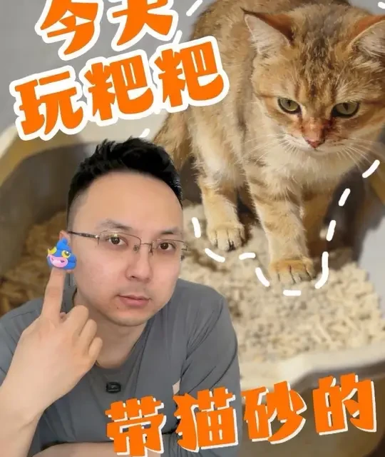 今天又来玩粑粑 带猫砂版😏#万物可爱计划#给春日养宠支个招#猫咪粑粑#猫咪表情包#新手养猫