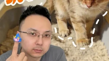 今天又来玩粑粑 带猫砂版😏#万物可爱计划#给春日养宠支个招#猫咪粑粑#猫咪表情包#新手养猫