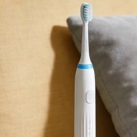 电动牙刷哪个牌子的质量好？不刺激！清洁力强还护牙龈十大名牌！


