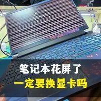 笔记本花屏非要换显卡吗？ 也有可能是内存条虚焊了。最近内存硬盘都涨飞了，扩容也是要花重金了#
#第一视角 #沉浸式体验 #笔记本维修 #扩容 #内存涨价