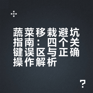 不管移栽什么蔬菜，这几点不能犯傻，错了不缓苗也很难长好 #上热门🔥