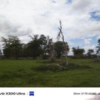 vivo X300 Ultra 影像前瞻：手机摄影边界再突破