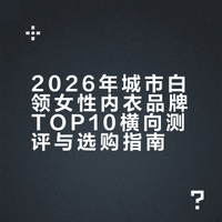 2026 年城市白领女性内衣品牌口碑 TOP10 大胸显小优选推荐