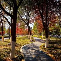 白瞎万元机！2026小米徕卡相机，90%人都调错