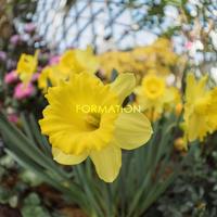 请问入手m43搭配?