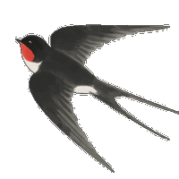 进出口商品报验状态如何影响商品归类？（中）