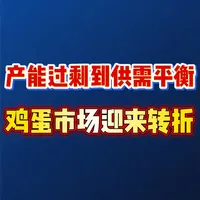 产能过剩到供需平衡!鸡蛋市场迎来转折?
#财经 #蛋价 #鸡蛋 #民生关注