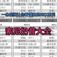 索尼NEX系列全讲解，一条视频看懂！ 索尼奶昔系列一共10款产品，一条视频让你看懂。
#索尼 #索尼奶昔 #新手入门相机推荐