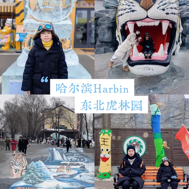 哈尔滨｜东北第③站之虎林园猛兽贴贴
