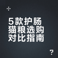 一篇讲清楚5款肠胃猫粮怎么选？！码住