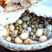 吃在海南：盐焗鸡