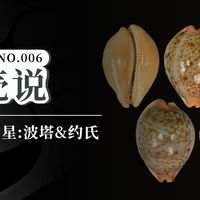宝贝百期 NO.6 国产双子星:波塔+约氏