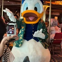 一天八顿的迪士尼探险号🛳️餐厅攻略来啦‼️