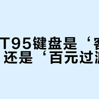 狼途LT95键盘是‘客制化神器’还是‘百元过渡品’？全网观点大PK