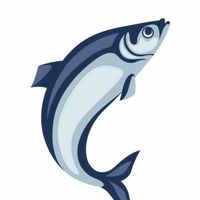 挑选新鲜鱼类的实用技巧