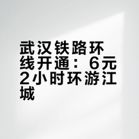 6元环游武汉！光谷出发的绿皮火车，安排🎫