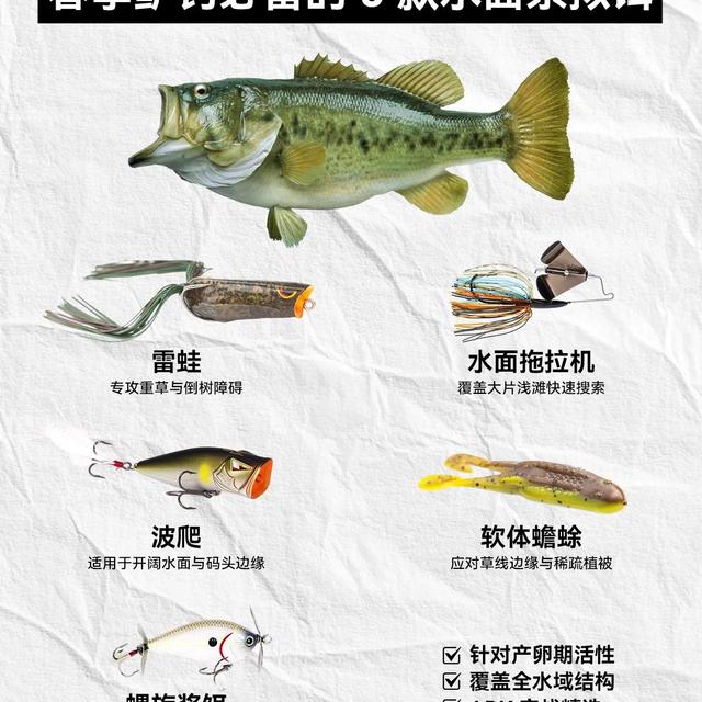 鲈钓不空军！分享5种春季最好用的水面系饵