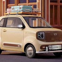 聚焦“3·15”| 微型车“通病”？奔腾小马变“失控小马”，车主加装、改装“自救”