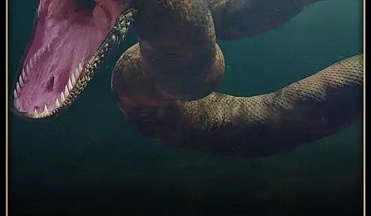 为何孕妇常梦见大蛇?6000万年前的基因记忆与泰坦巨蟒的生存启示_科学技术_什么值得买