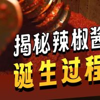 食品工业之——风靡全球的辣椒酱大揭秘（老王讲糖系列视频）