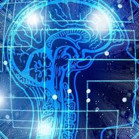 高分红，低研发，财务内控收“黄牌”，丸美生物港股IPO焦虑不少