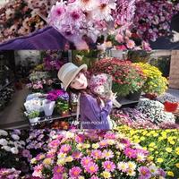 大疆pocket3春日氛围感🌸狠狠拿捏！附教程