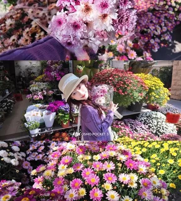 大疆pocket3春日氛围感🌸狠狠拿捏！附教程