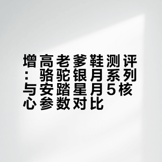骆驼老爹鞋、安踏老爹鞋
