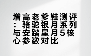 骆驼老爹鞋、安踏老爹鞋