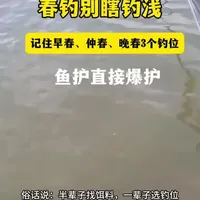俗话说：半辈子找饵料，一辈子选钓位。钓位选不对，努力全白费！很多钓友只知道“春钓滩”，结果一坐就是一天没口，根本原因就是没搞懂：春季气温变化大，钓位不能一成不变！#春钓鲫鱼 #春季钓鲫鱼 #野钓鲫鱼 #户外野钓鲫鱼 #春季野钓鲫鱼