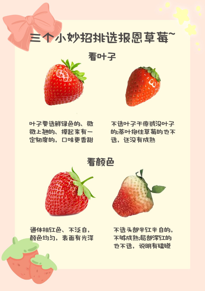 草莓