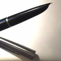 我的金笔白月光--英雄100