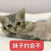 写给姐的养猫攻略2️⃣-必备物资