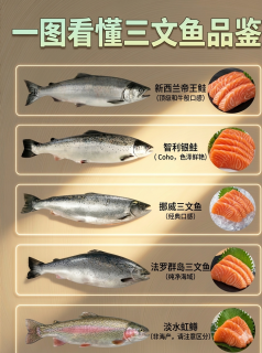 一眼看出来三文鱼的鄙视链