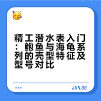 因为喜欢鲍鱼而买了3只鲍鱼/海龟