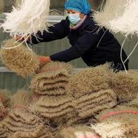 315曝光：木薯粉条冒充红薯粉的危害，教你辨别方法！