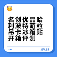 我愿称之为萌粒吊卡的哈利波特小世界冰箱贴