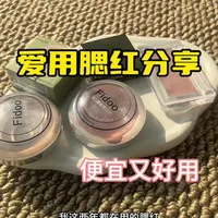 爱用腮红分享。又便宜又好用#平价彩妆 #腮红推荐 #彩妆分享