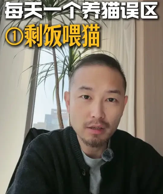 猫到底能不能吃剩饭？很多人第一步就问错了 每天避坑一个养猫误区①#养猫经验分享 #养猫误区 #养猫知识 #养猫新手