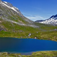 纯净版驱动管理工具，一键安装备份还原