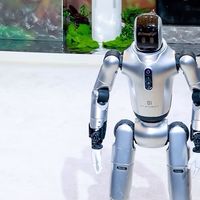 从展品到产品：机器人解决实际问题