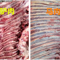 挂“驴头”卖马肉？记者调查：不少火烧店用马肉“偷梁换柱”