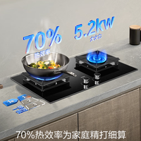 老板（Robam）JZT-55B7A天然气猛火燃气炉灶煤气双灶 购买分析