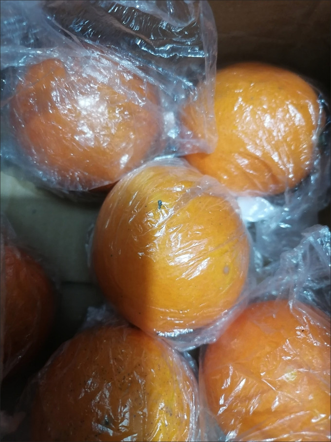 新鲜水果