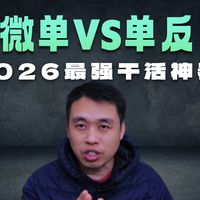 2026年最适合干活的微单相机