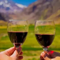 低基数高潜力——南美洲+非洲正重塑全球葡萄酒市场格局