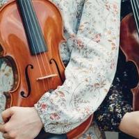 避坑不踩智商税｜6款初学者小提琴实测，音色与性价比双在线！