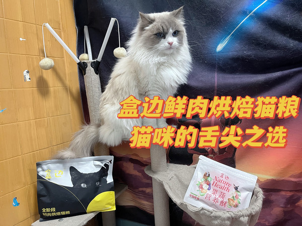 好吃护胃不踩雷,就用盒边低温烘焙粮
