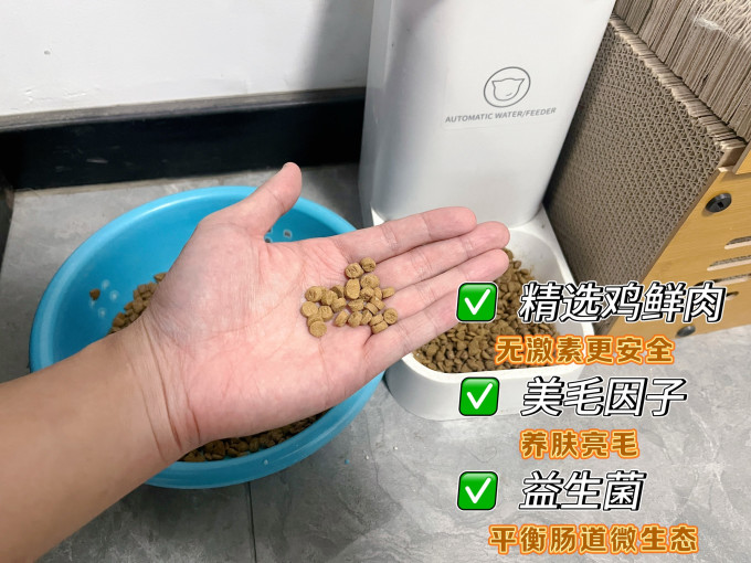 盒边猫咪干粮