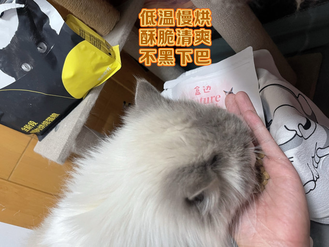 盒边猫咪干粮